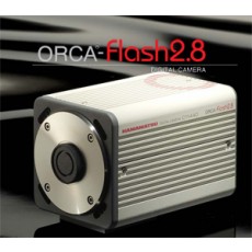 Flash 2.8 sCMOS Camera