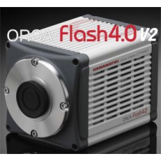 Flash 4.0 V2