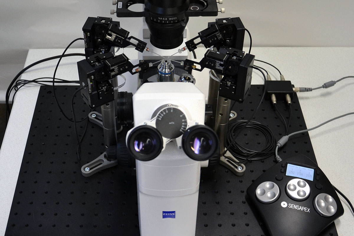 Triple Axis Micromanipulator (3축 미세조작장치)