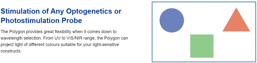 Polygon1000